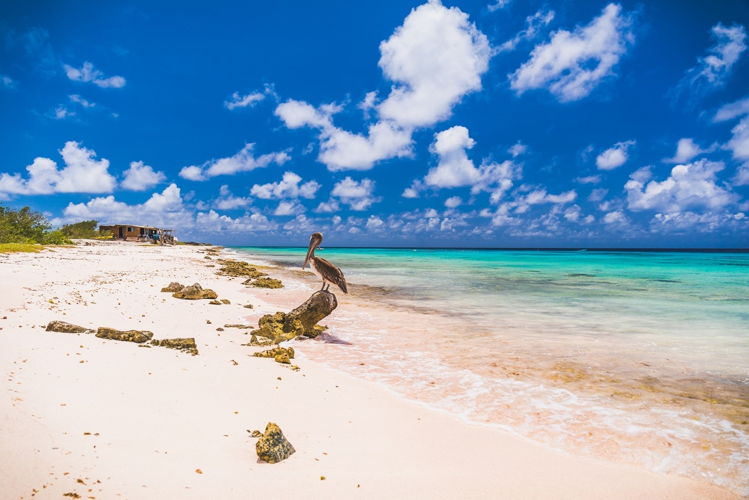 Bonaire