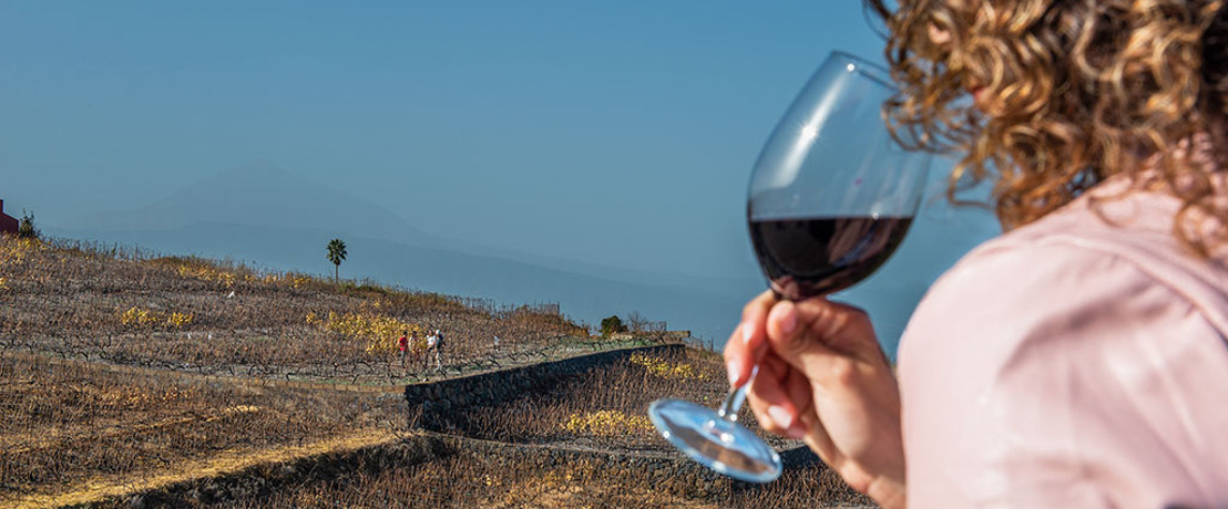 5 caves à vin où vous dégusterez le meilleur vin de Tenerife