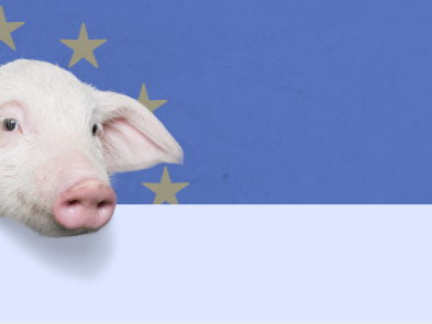 GAIA Welcomes the Appointment of a dedicated European Commissioner for Animal Welfare