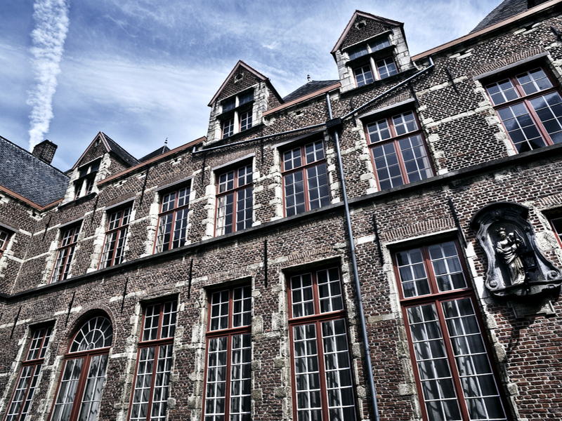 De zomer van het Maagdenhuis