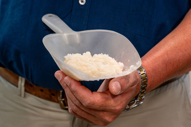 Tijdens het productieproces wordt het calcium eraf geschept zodat de smaak minder bitter wordt. (© Sandra Koppelaar Fotografie)