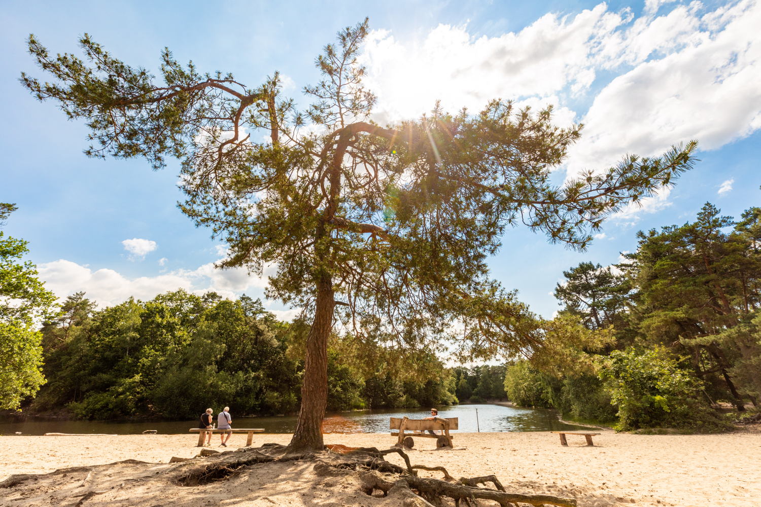 Loonse en Drunense Duinen