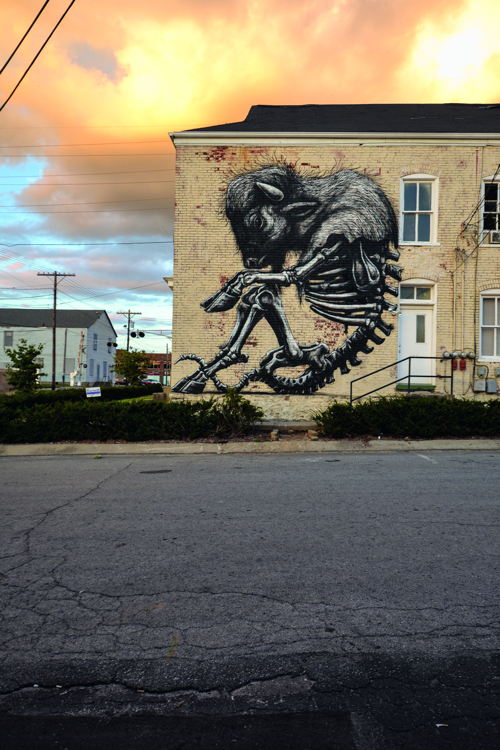 ROA 2014 ROA-LEXINGTON Courtesy of the Artist