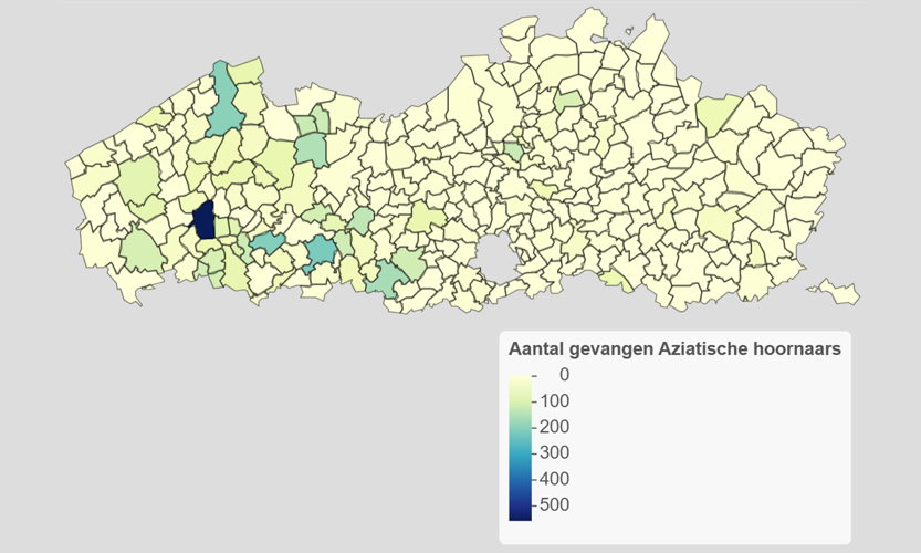  Figuur  2 – Aantal gevangen Aziatische hoornaars per gemeente