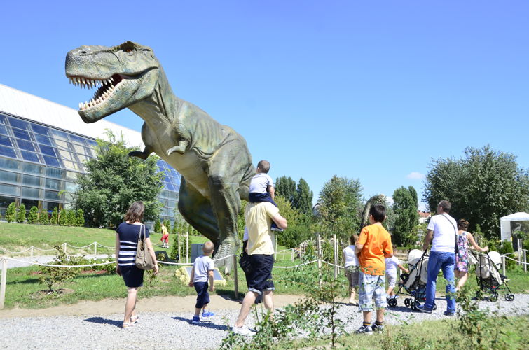 DinoParkNS_3