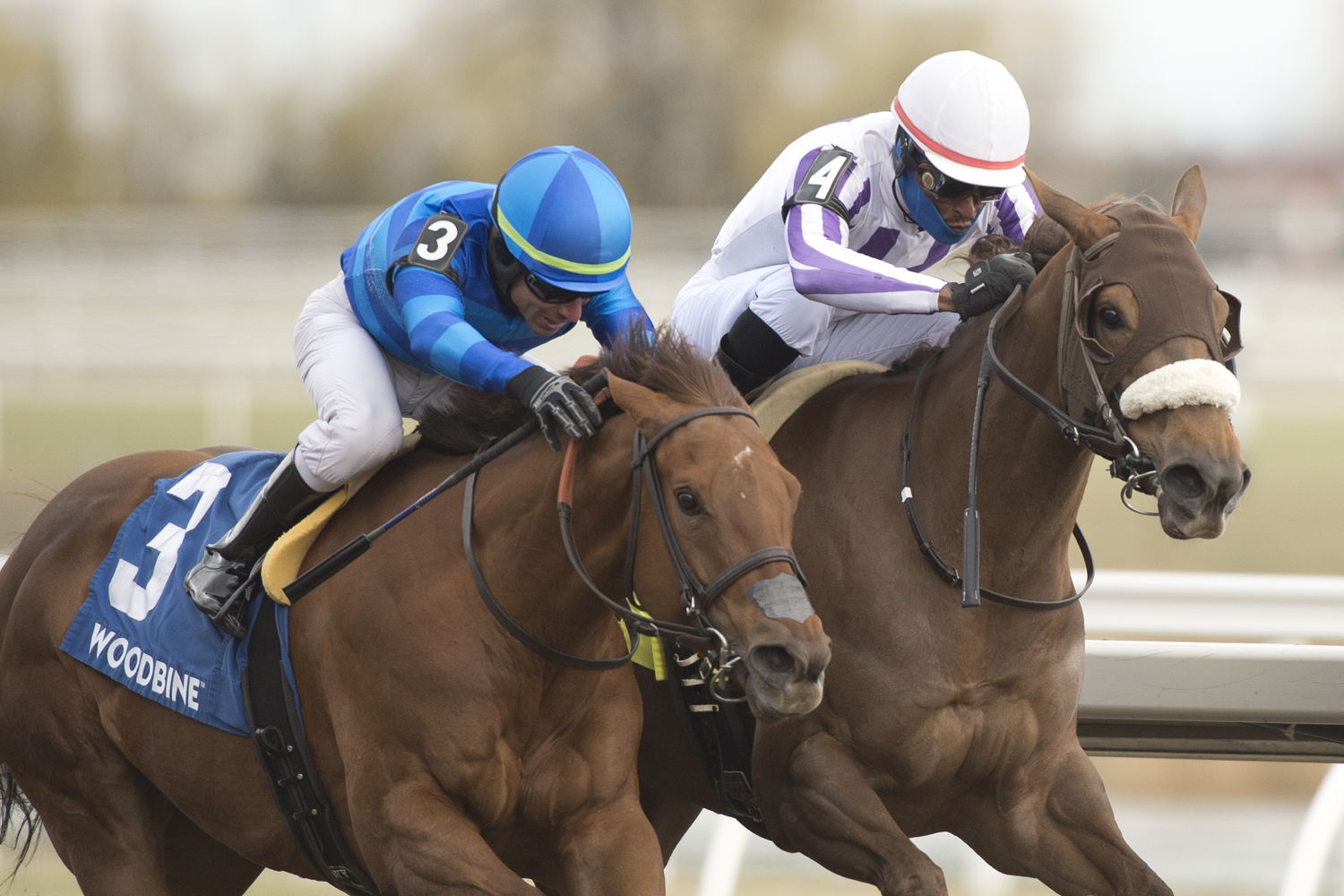 Dreaming of Drew (inside) and Patrick Husbands leave their mark on Opening Day winning the Long Branch Stakes at Woodbine. (Michael Burns Photo)