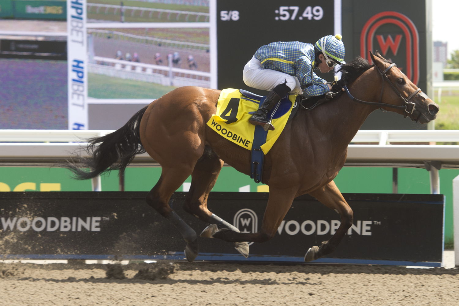 Flag of Honour (AUS) and jockey Kazushi Kimura winning Jacques Cartier Stakes (G3) at Woodbine on June 1, 2024 (Michael Burns Photo)