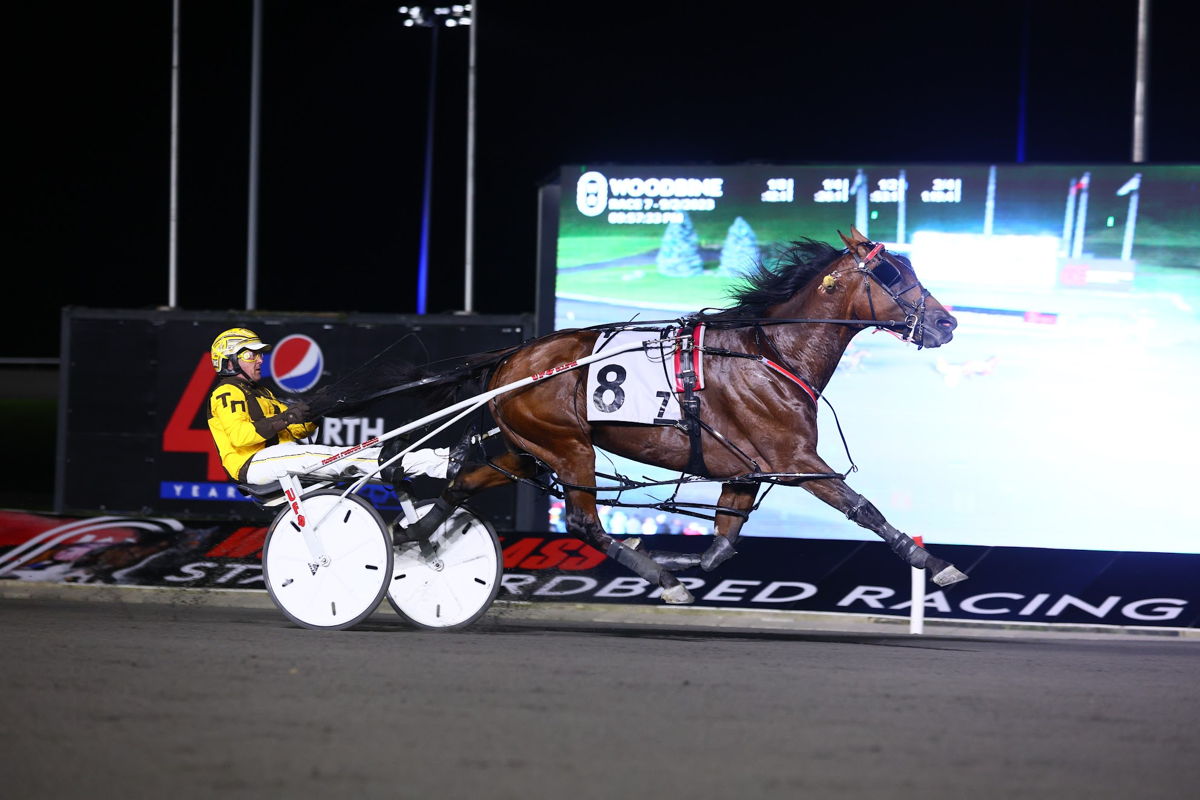 Warrawee Vital winning the Free-For-All Pace on September 2. (New Image Media)