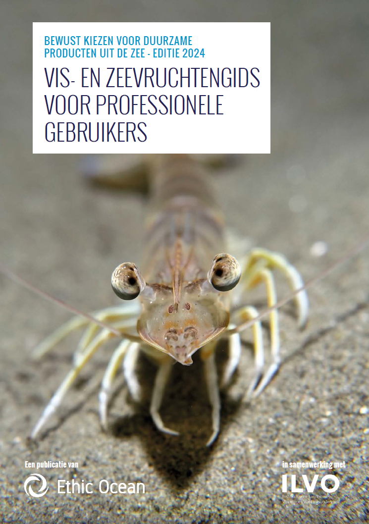 Cover Vis- en Zeevruchtengids Cover Vis- en Zeevruchtengids