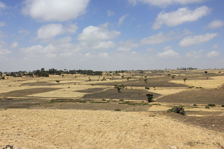 Dry lands in Africa.