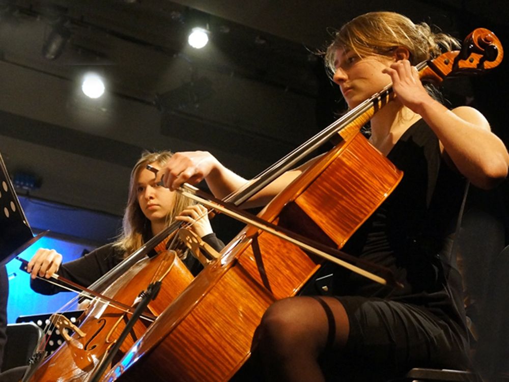 slac-cello (c) erikO