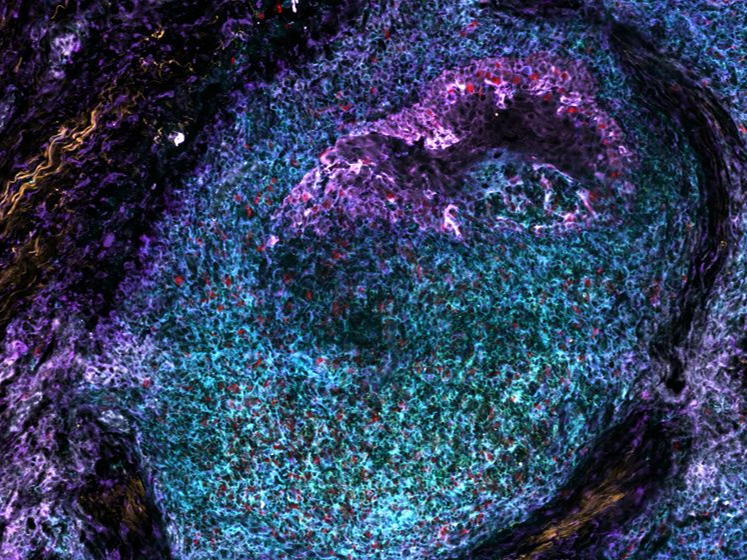 Deciphering the hidden language of life