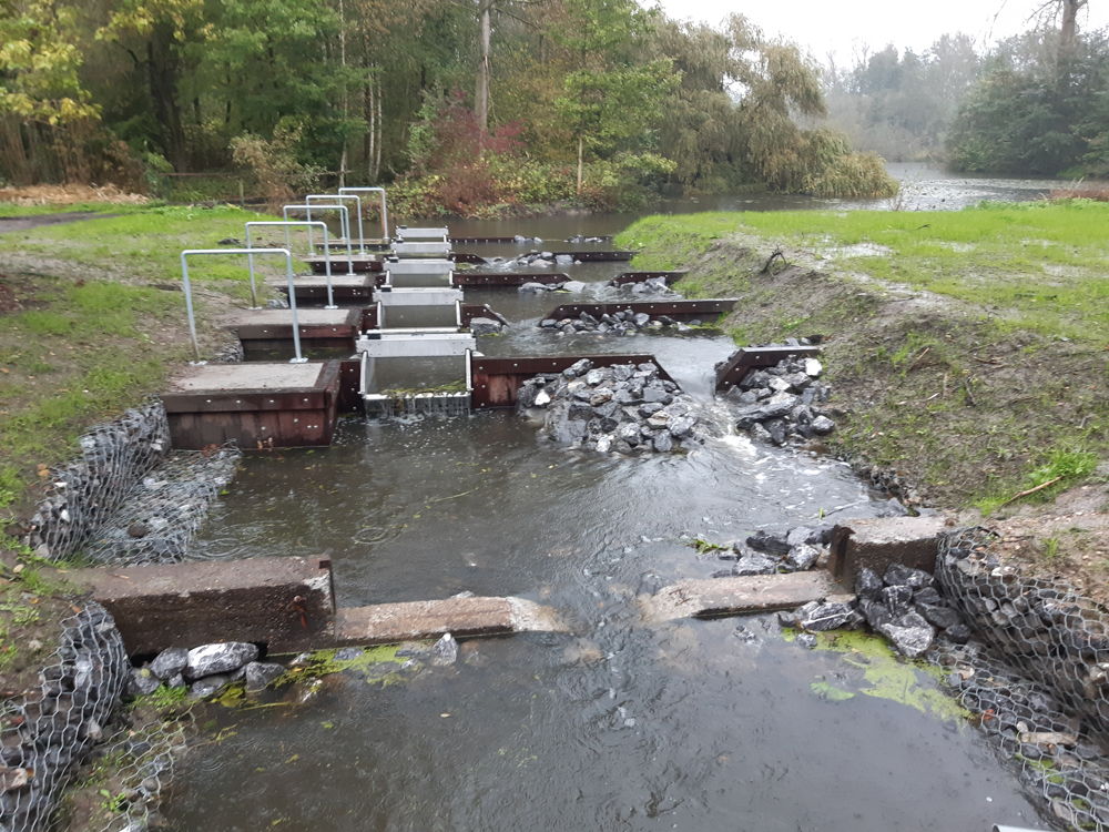 Vistrap bij normale waterpeilen