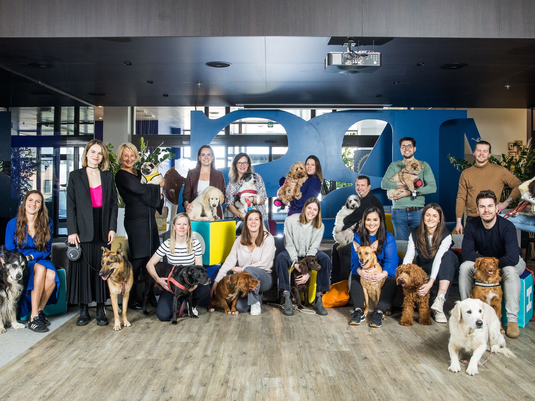 6 op de 10 Belgische kantoorwerkers ervaren minder stress met hond op kantoor  