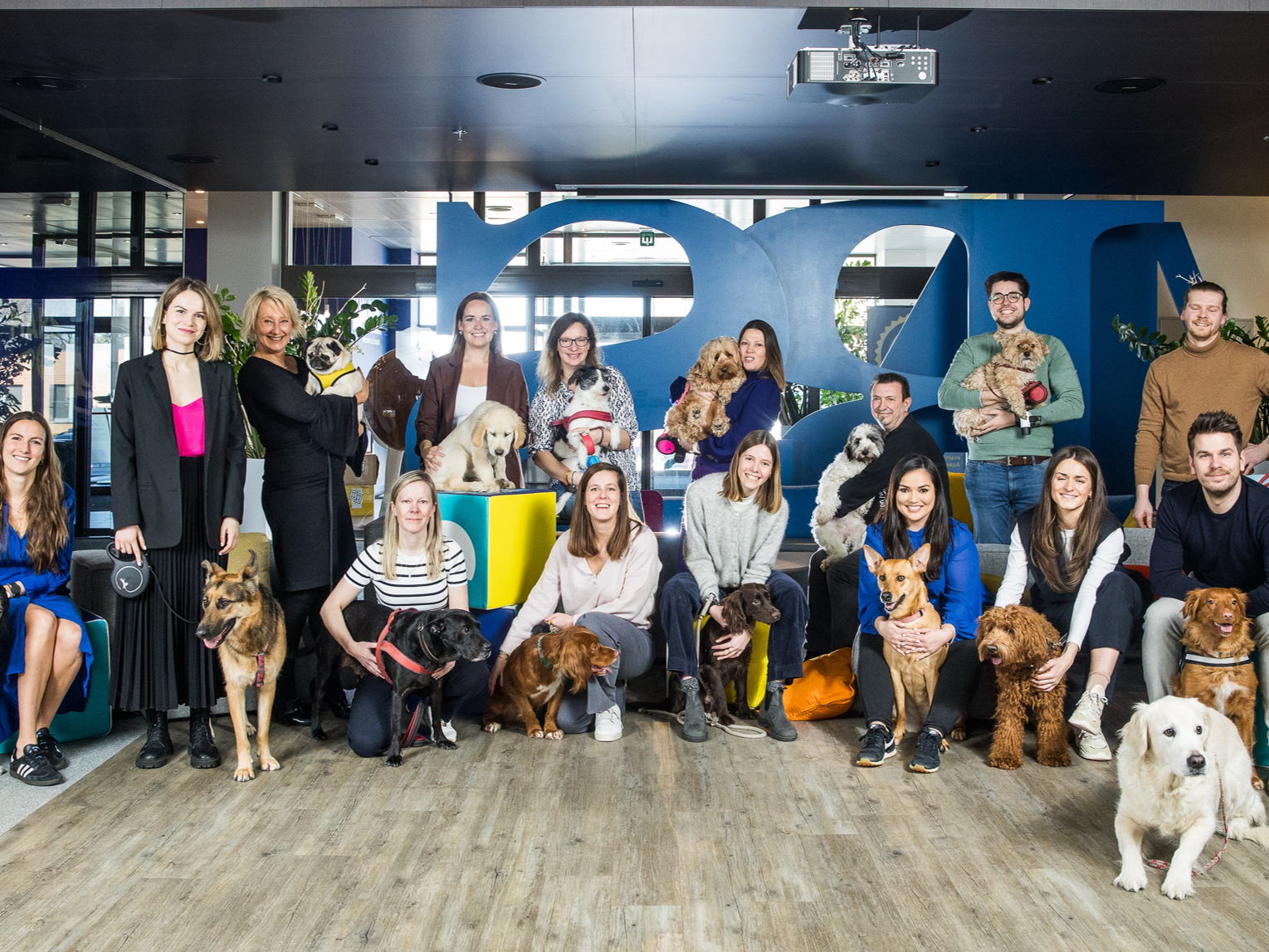 6 employés de bureau belges sur 10 sont moins stressés par la présence d'un chien au bureau  