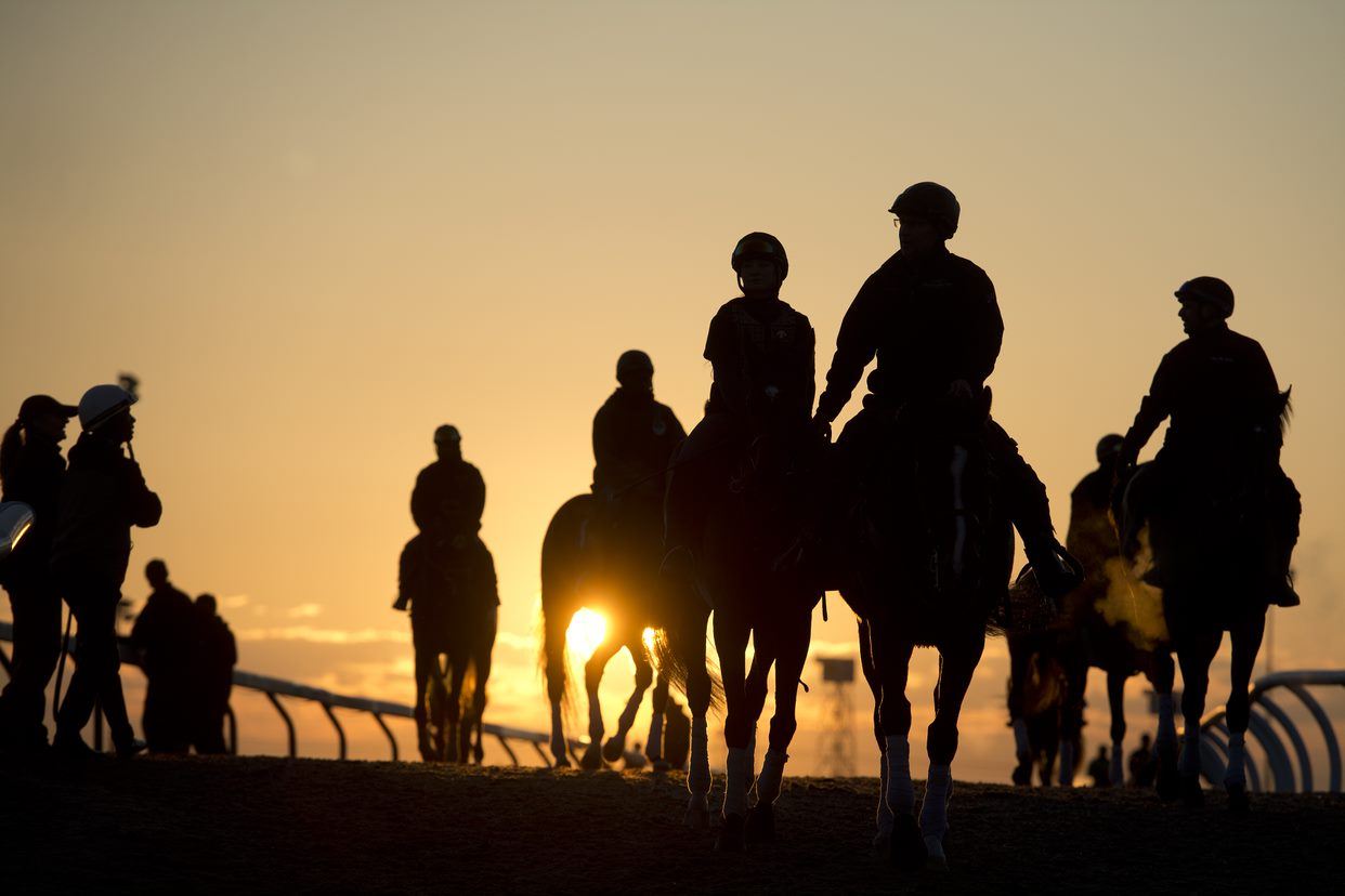 Early morning sunrise workouts as the Woodbine Thoroughbred season begins Saturday, April 16. (Michael Burns Photo)
