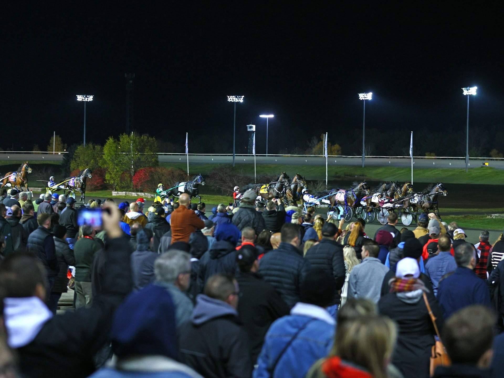 Breeders Crown Media Credential Information 2025