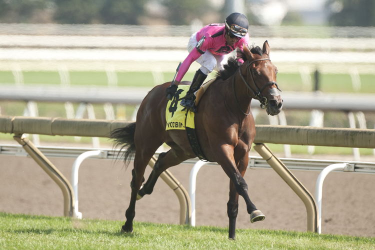 Souper Supreme and jockey Patrick Husbands winning the Victorian Queen on September 15, 2024 at Woodbine (Michael Burns Photo)