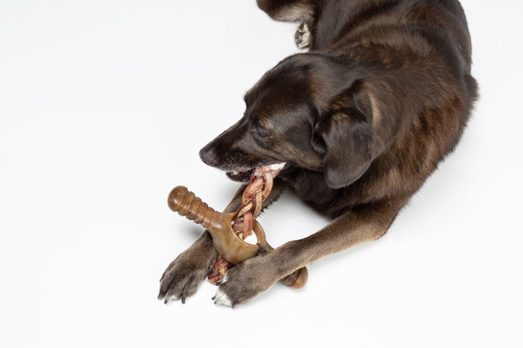Benebone Pawplexer