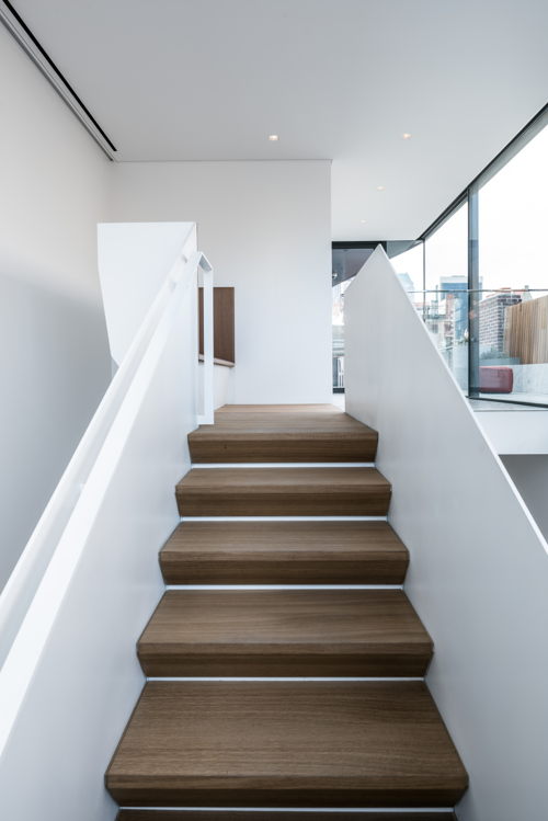 View of rooftop. Photo by Alan Tansey.