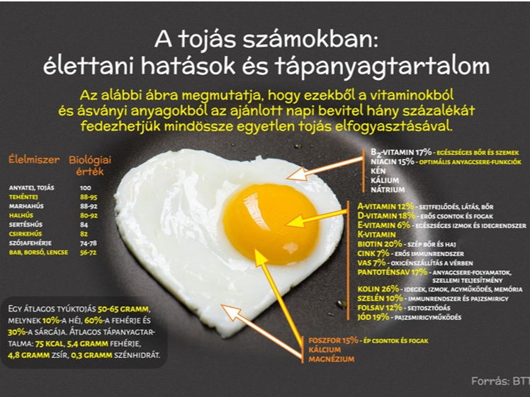 Húsvétkor is lesz friss magyar tojás a boltok polcain