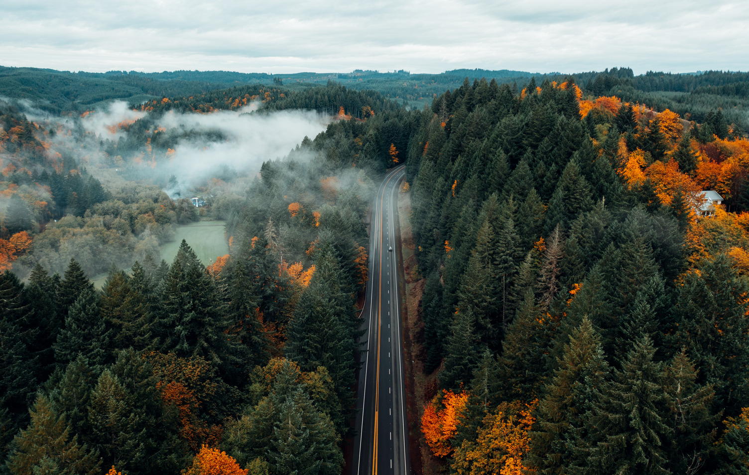 Conoce estas 6 rutas en tren para maravillarte con los mejores paisajes de otoño en Estados Unidos