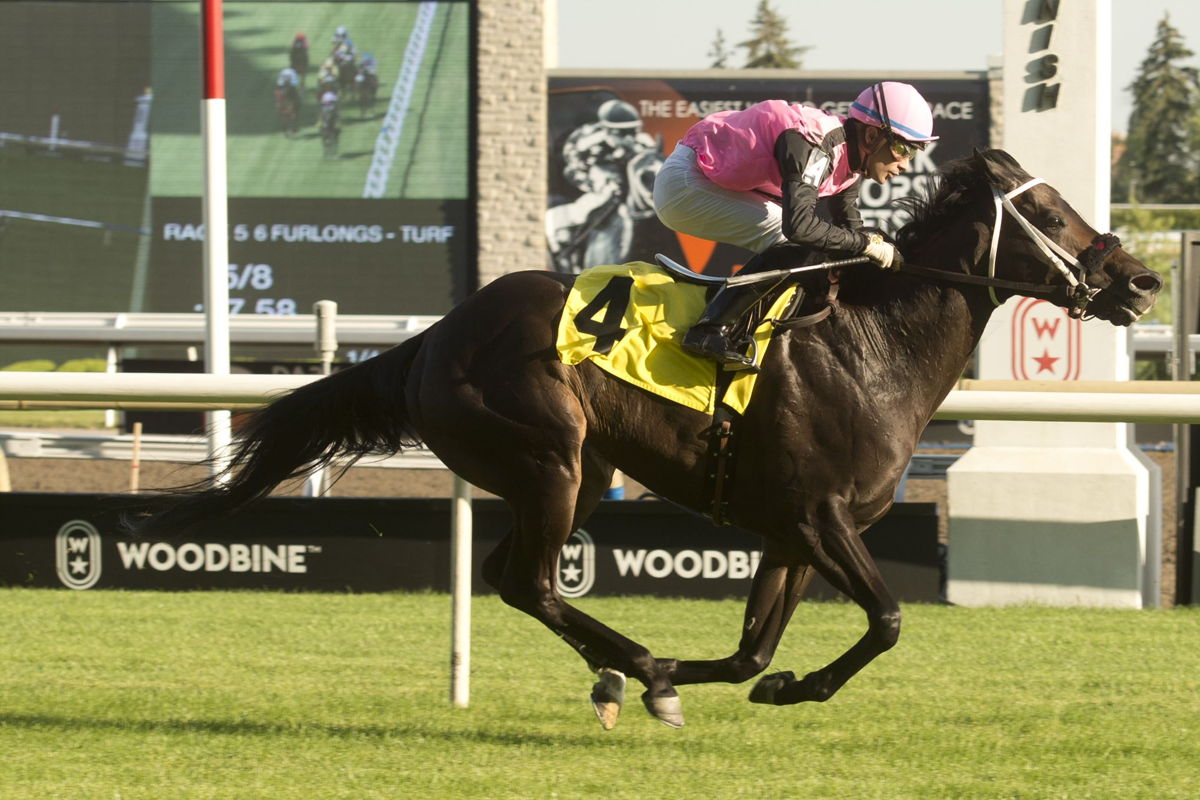 Stormy Silence and jockey Sahin Civaci on July 14 2022 at Woodbine. (Michael Burns Photo)