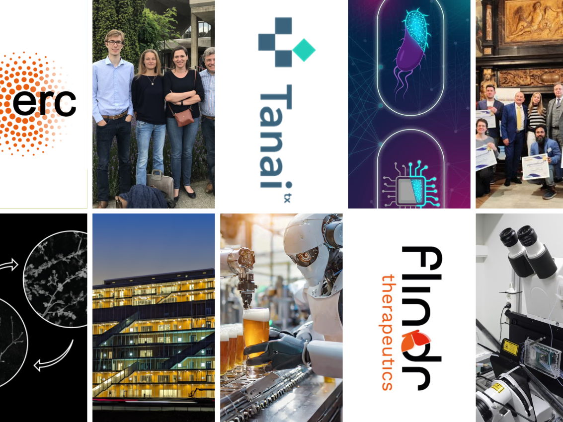 VIB's top stories of 2024: the year in review