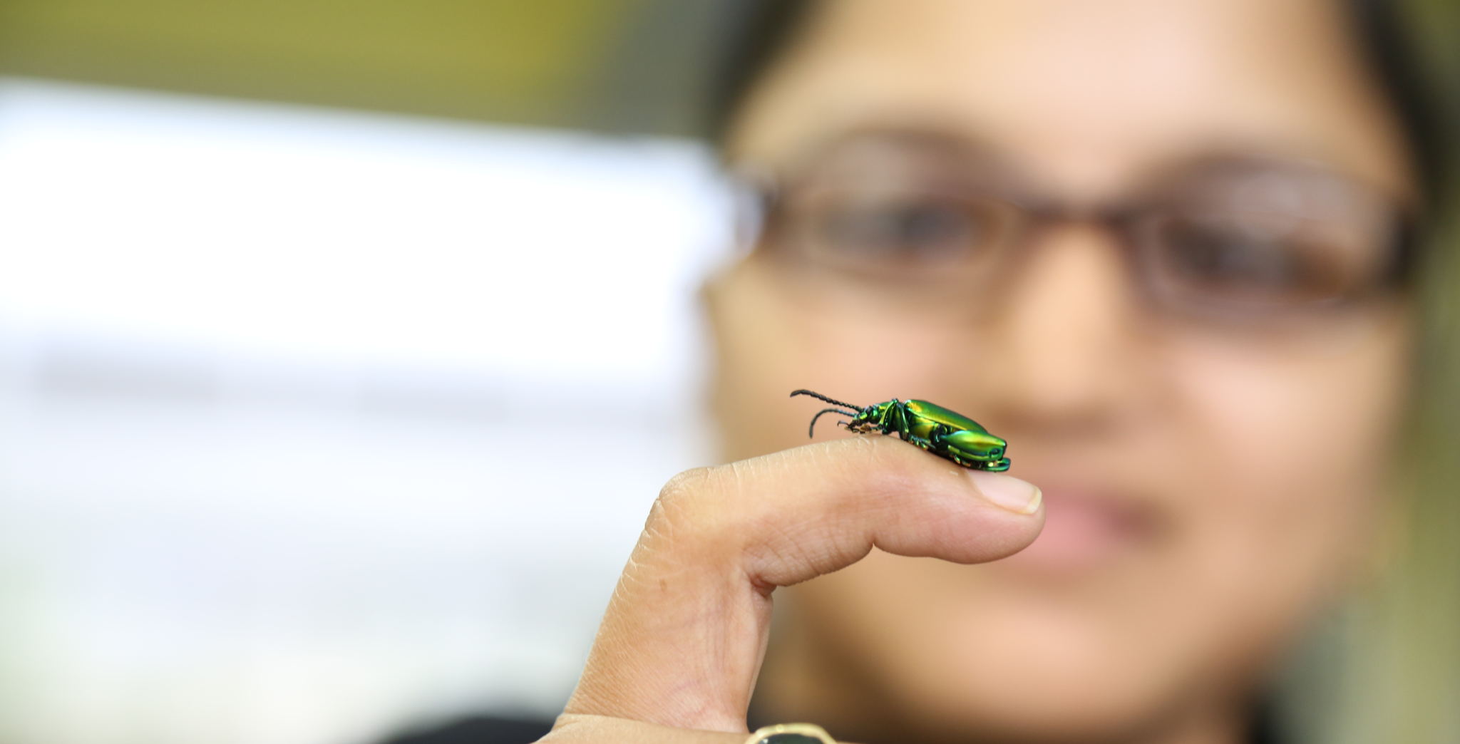 Biodiversity Day Feature Story: A Delicate Balance: Insect Pests, Pollinators and Food Production