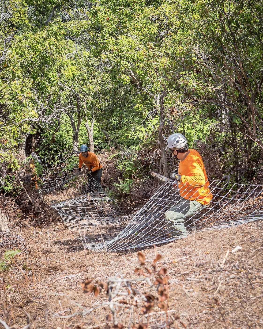 Puʻu Kukui Watershed Preserve team members working to protect the area's natural resources (courtesy of Herb & Dee Coyle).