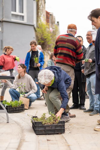 Groenere Bakkerstraat  De Bakkerstraat werd door het district heraangelegd en ook tijdens de Groeidag geopend. Dat maakte van dit weekend het ideale moment om de straat meteen te vergroenen. De bewoners van de Bakkerstraat kregen dus een drankje en plantjes aangeboden om de opening van hun straat te vieren. De straat werd verkeersveiliger aangelegd met verkeersplateaus maar kreeg ook 13 nieuwe bomen. Bij elke heraanleg legt het district Borgerhout ondergronds zo veel mogelijk geveltuinen aan. Bewoners die wensen te vergroenen kunnen daarna aan de slag met hun eigen geveltuin. Zo is een vernieuwde straat sowieso sneller groen en kunnen bewoners genieten van elkaars geveltuinen. 
