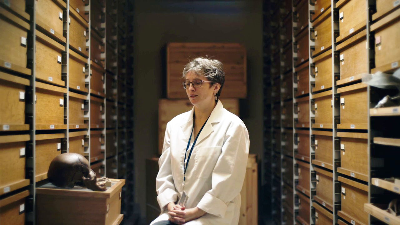 De zoekende mens - Caroline Polet bij de menselijke collectie