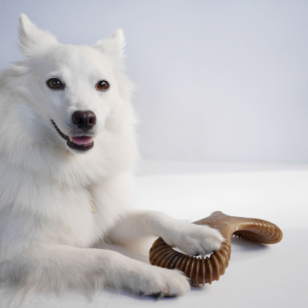Benebone Dental Chew