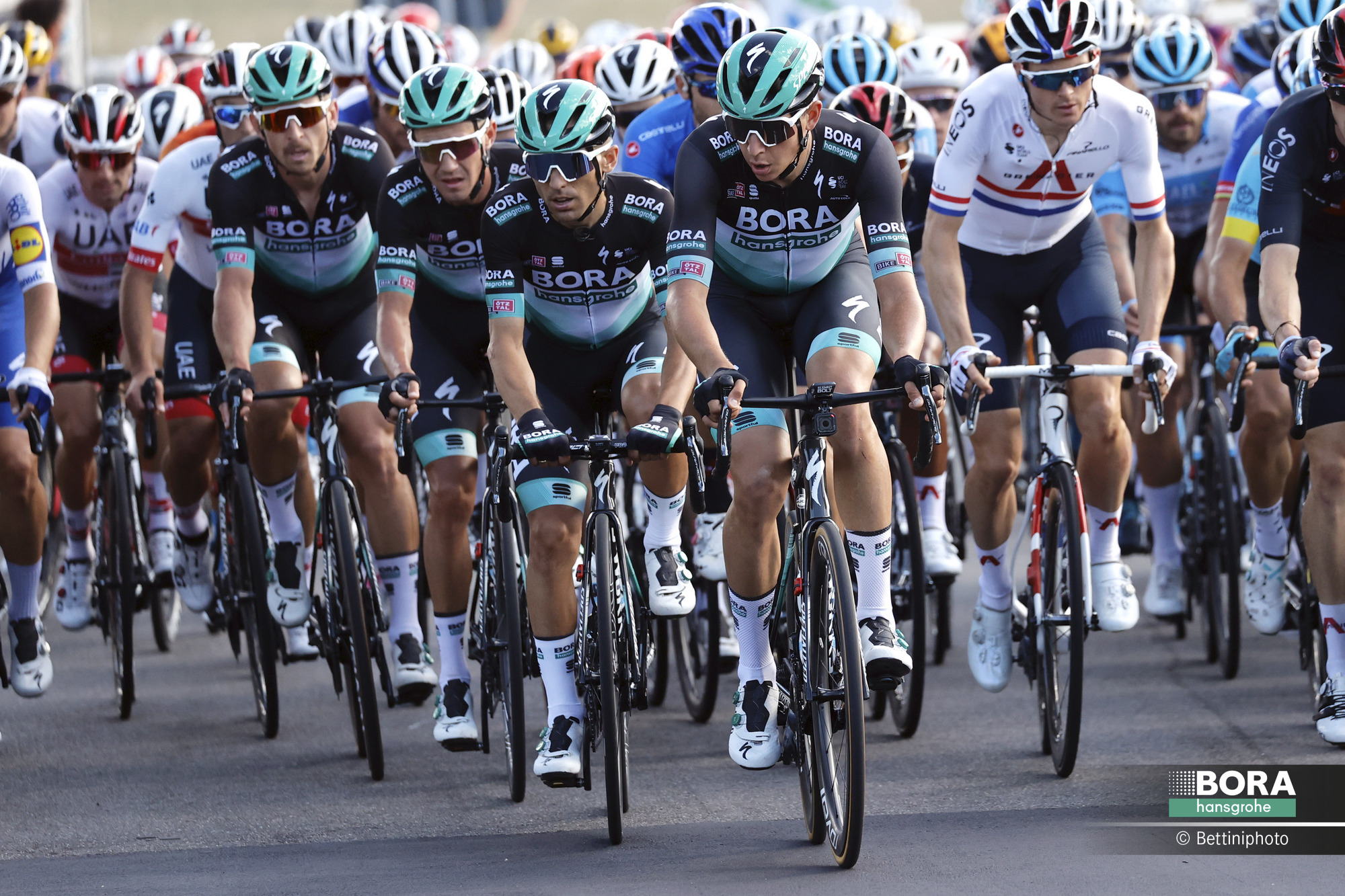 Team BORA – hansgrohe ©Bettiniphoto