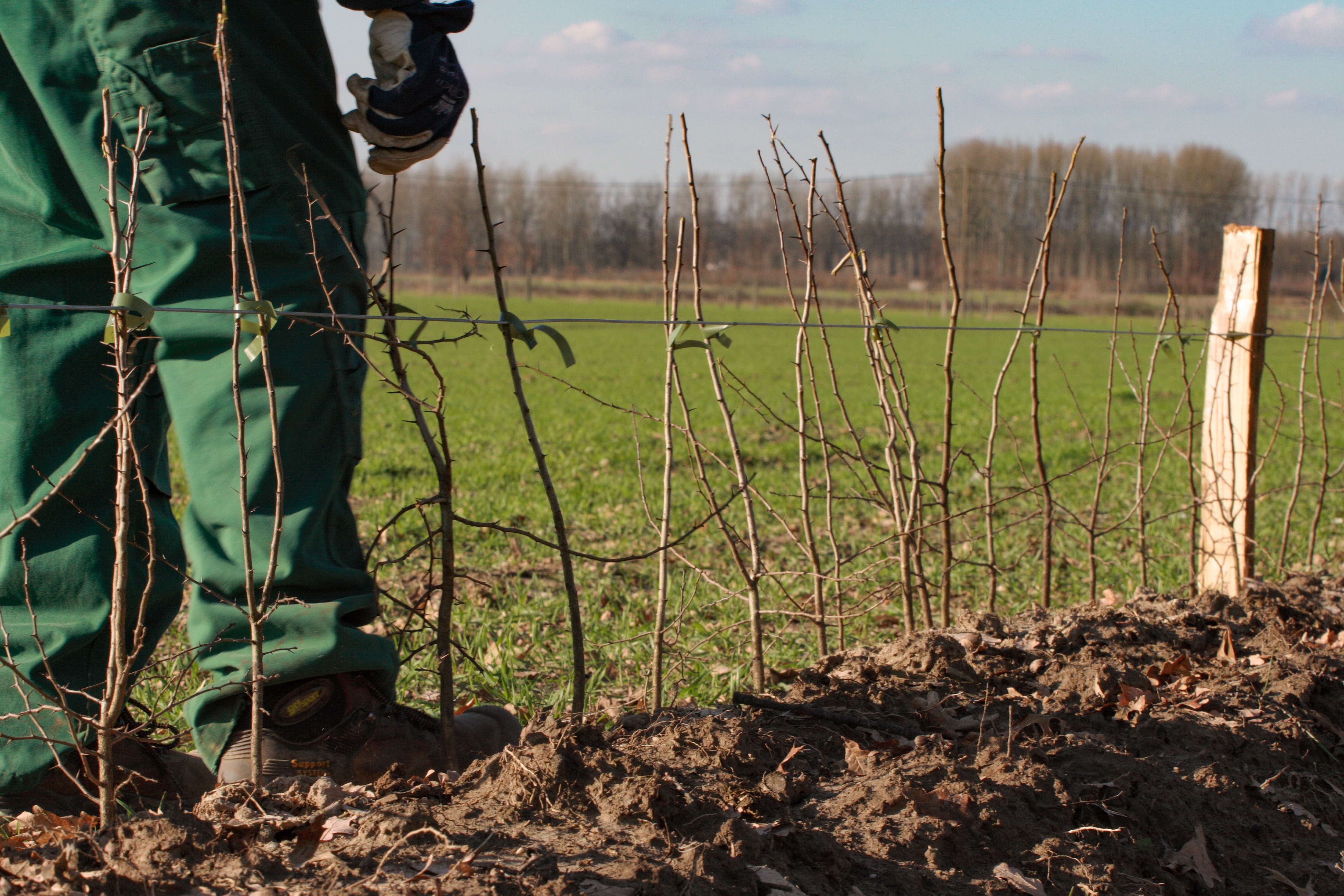 Dankzij 'Behaag je tuin' werd Vlaams-Brabant weer een stukje groener. Dankzij 'Behaag je tuin' werd Vlaams-Brabant weer een stukje groener.