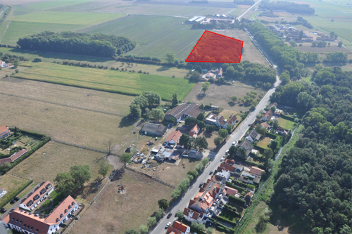 Luchtbeeld met situering van de dennenaanplant © Vlaamse overheid - VLM