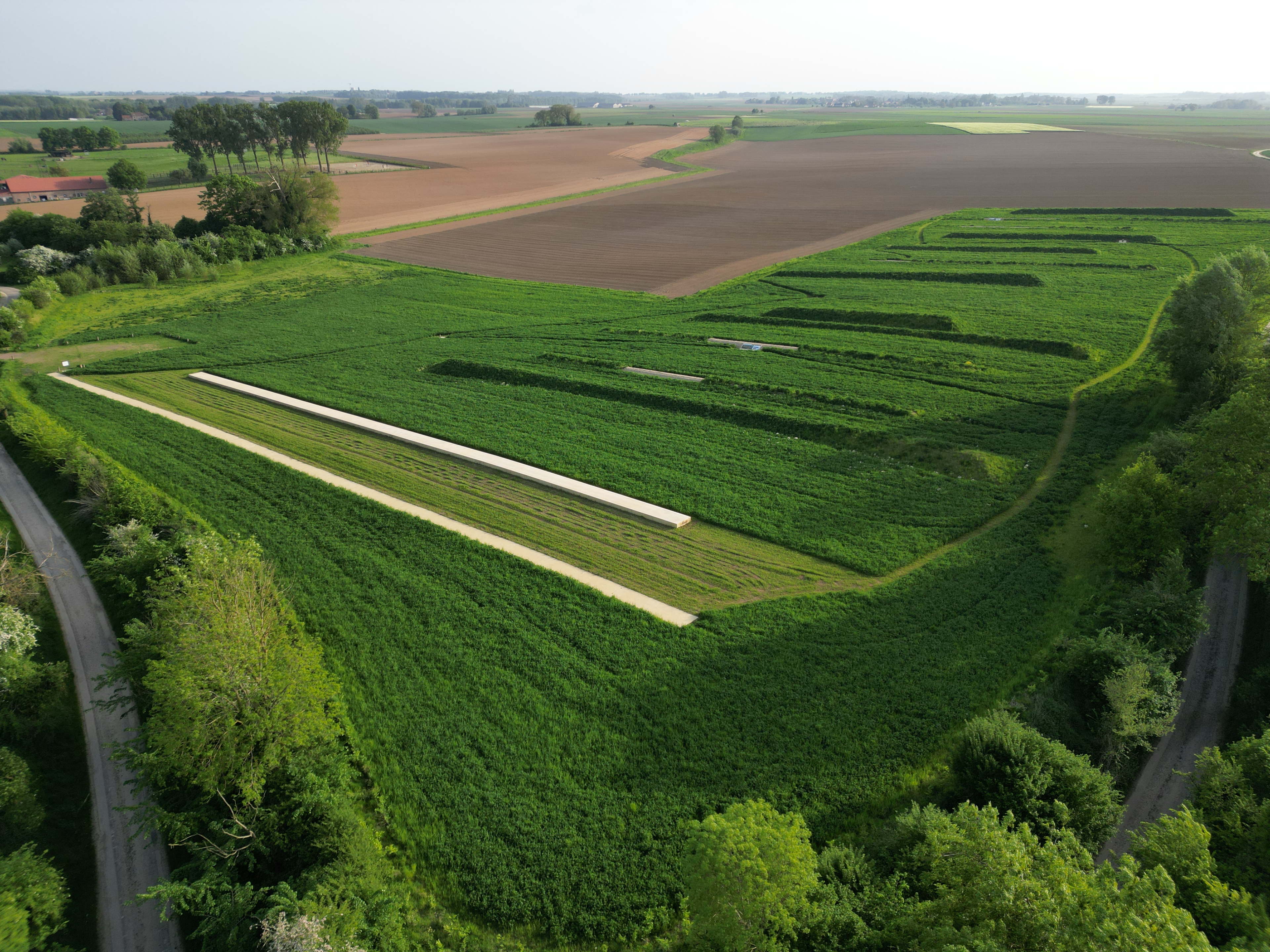 Aftrap Archeologiedagen aan Gallo-Romeinse villasite Meer