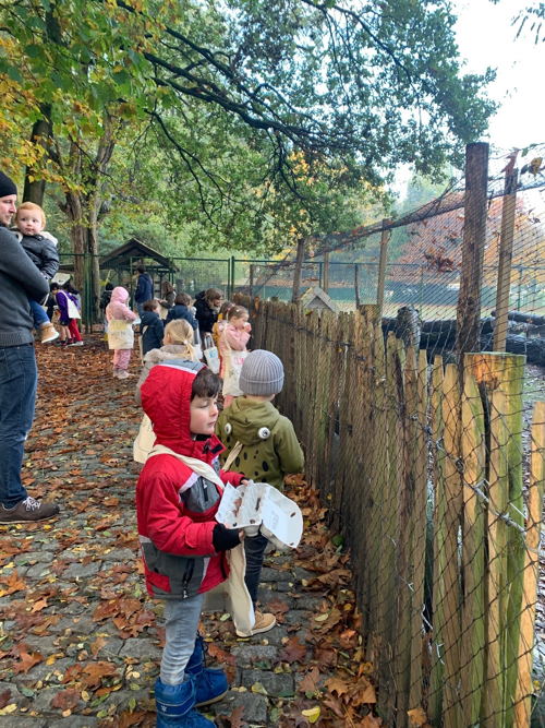 Rondleiding kinderboerderij De Ster