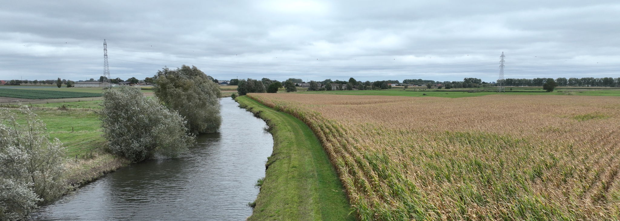 Beschermingsstroken: winst voor bodem, water en natuur 