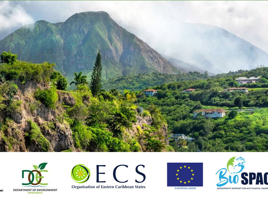 Montserrat se lance dans l'élaboration de sa première Stratégie et Plan d'Action Nationaux pour la Biodiversité 