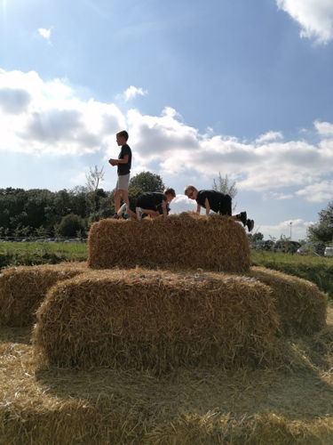Hof te Kattem - Borchtlombeek