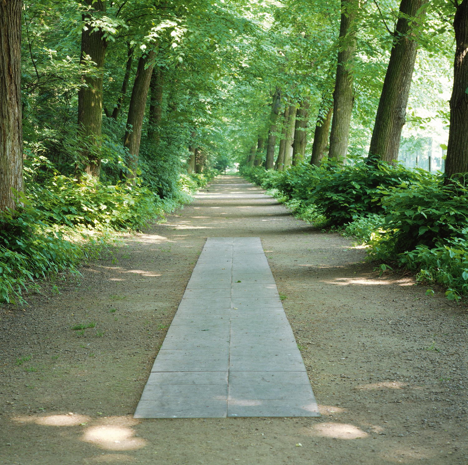 Carl Andre, 74 Weathering Way, 2001 © SABAM Belgium [2019]