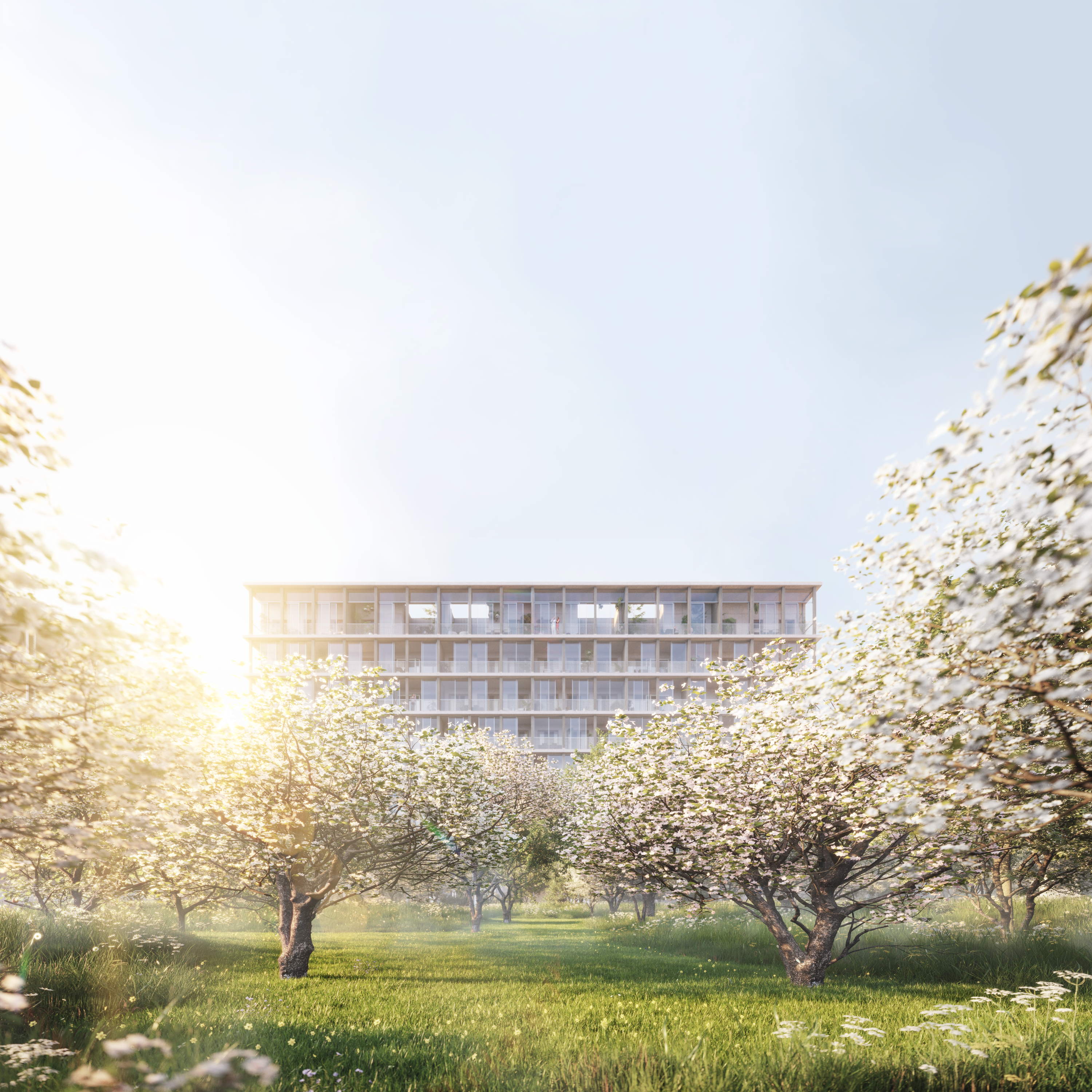 Antwerp neighbourhood Nieuw Zuid welcomes Pritzker Prize winner Sir David Chipperfield
