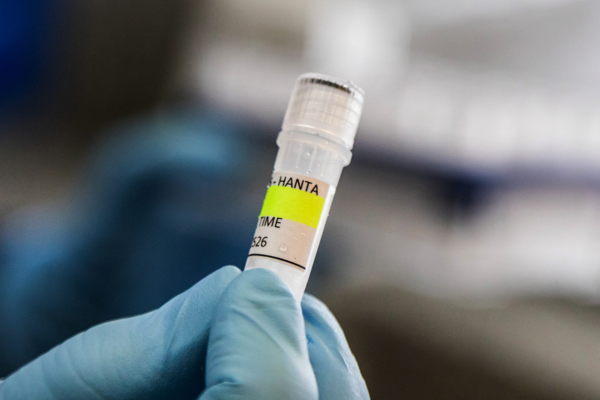 Three more Belgians identified after hantavirus outbreak on cruise ship