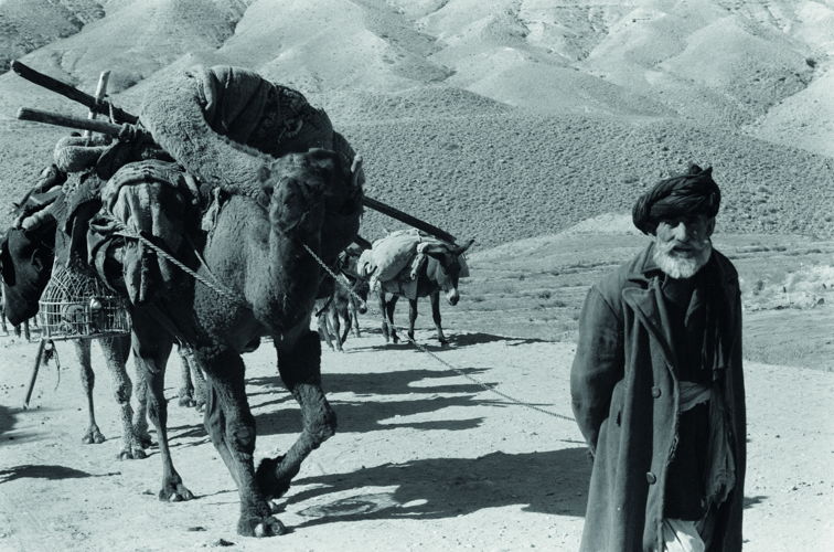 Afghaanse kameeldrijver in 1959