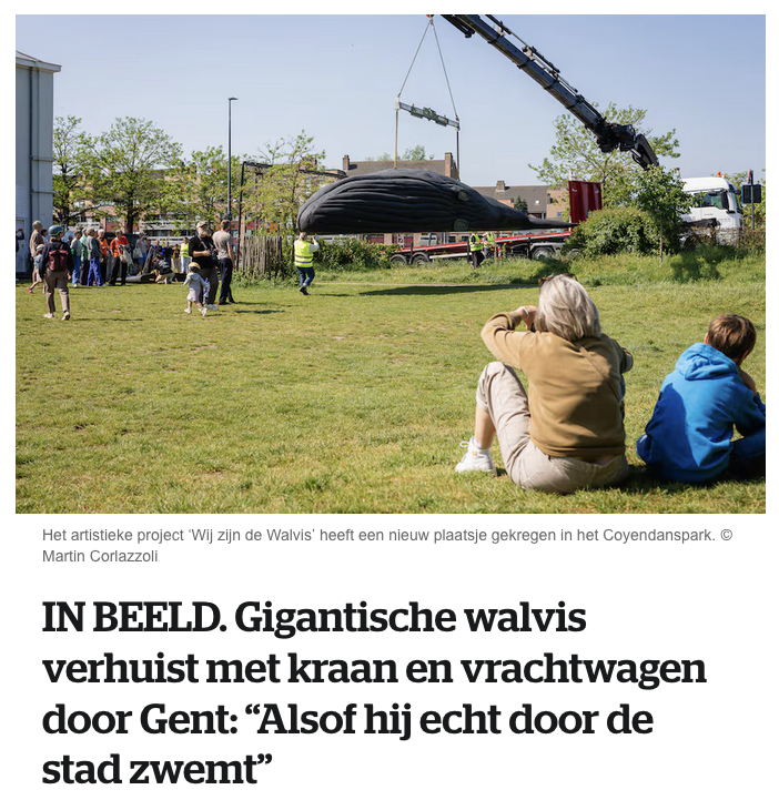 Online versie
