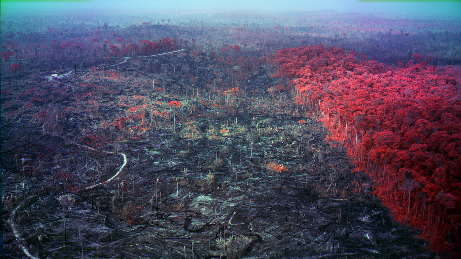 Richard Mosse, Broken Spectre 2022 (still). Courtesy of the artist and Jack Shainman Gallery, New York.