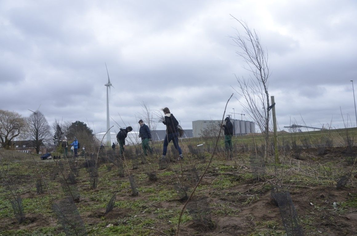 Leerlingen tuinbouwschool Melle planten 10.000 bomen en bosgoed in koppelingsgebied Rieme-Zuid