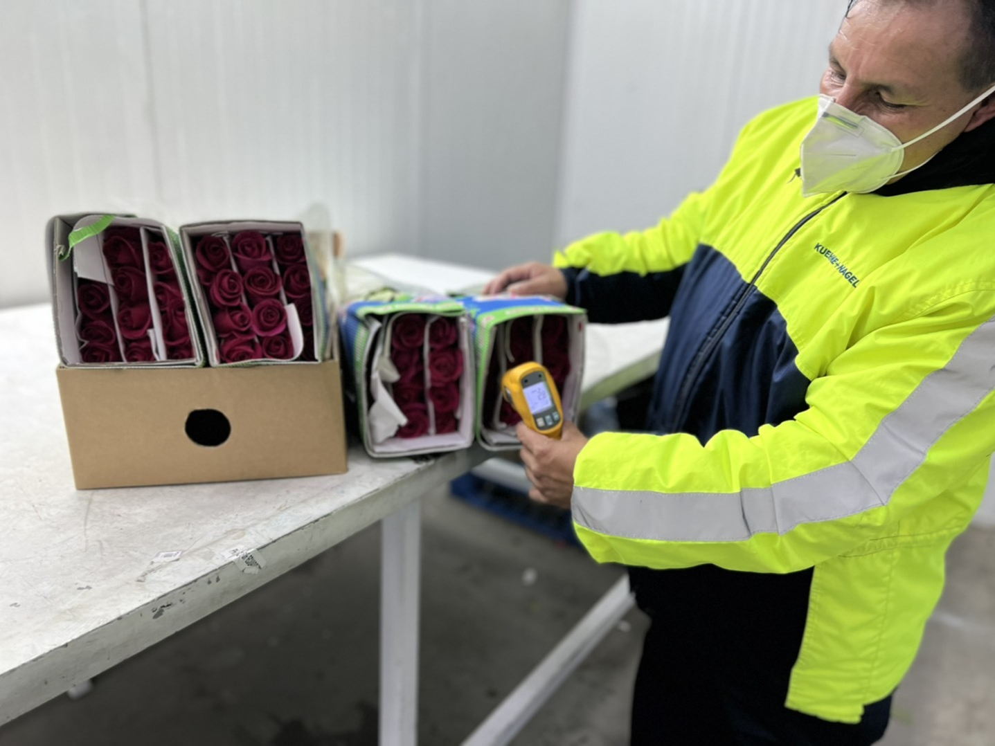 Kuehne+Nagel: San Valentín, época clave de crecimiento para la industria floral de la región