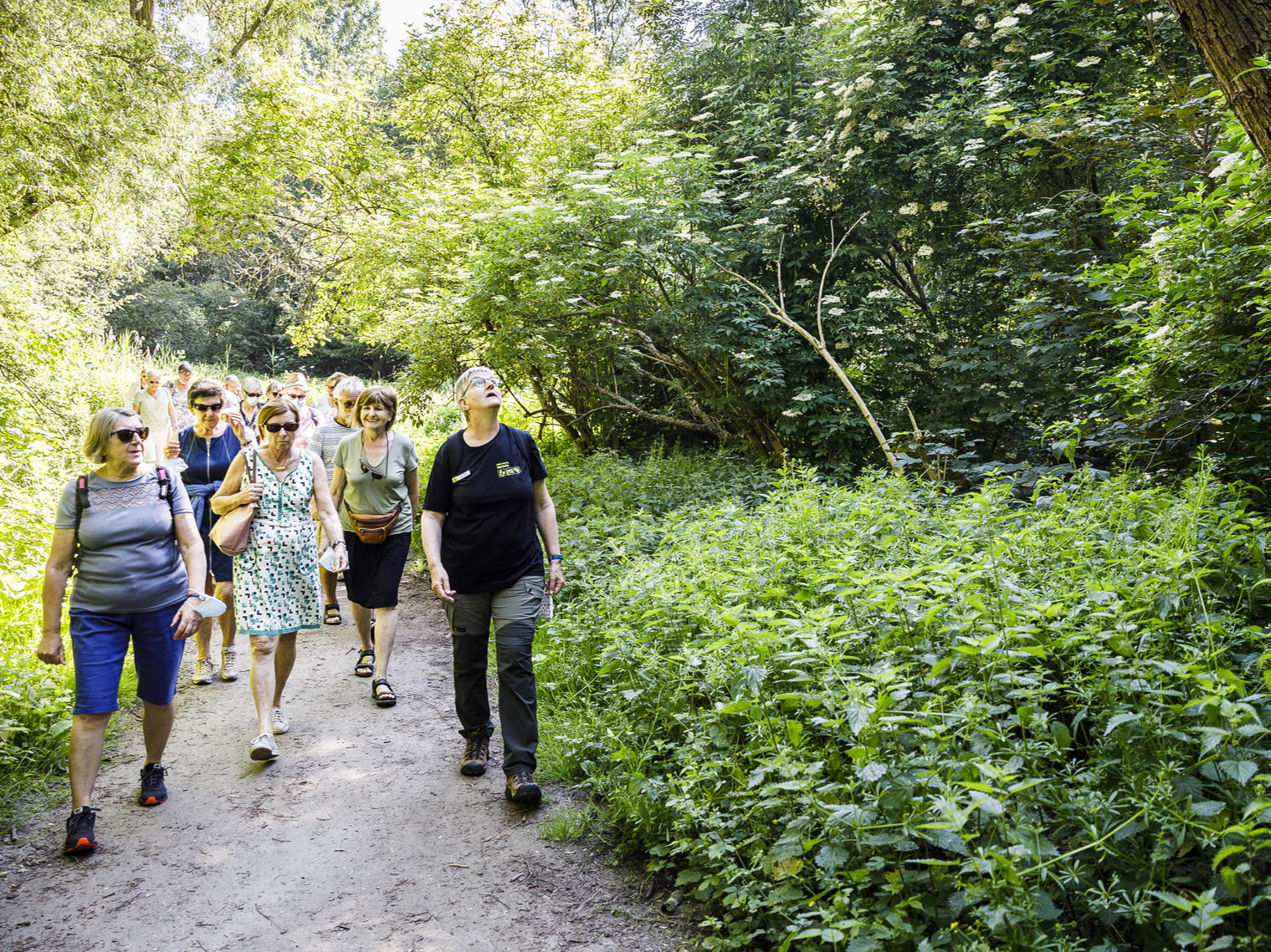 District Borgerhout viert senioren met gratis optreden, herfstwandeling en herinneringen aan de tijd van toen
